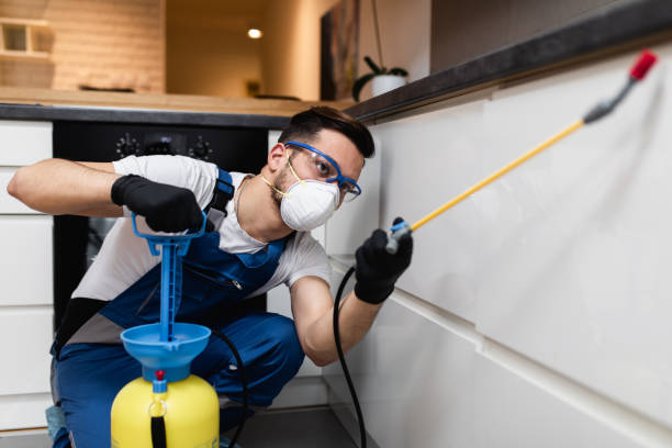 Best Affordable Pest Control Services  in Blue Grass, IA