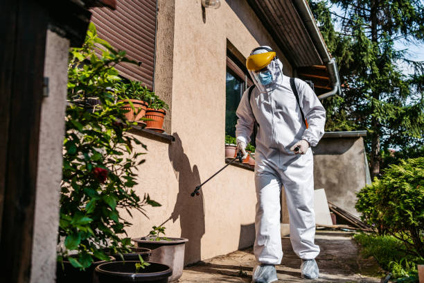 Best Best Pest Control Companies  in Blue Grass, IA