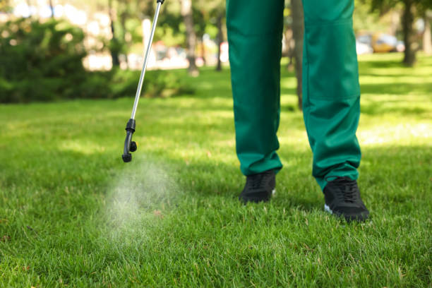 Best Mosquito Control Services  in Blue Grass, IA