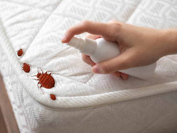 Best Flea Control Services  in Blue Grass, IA